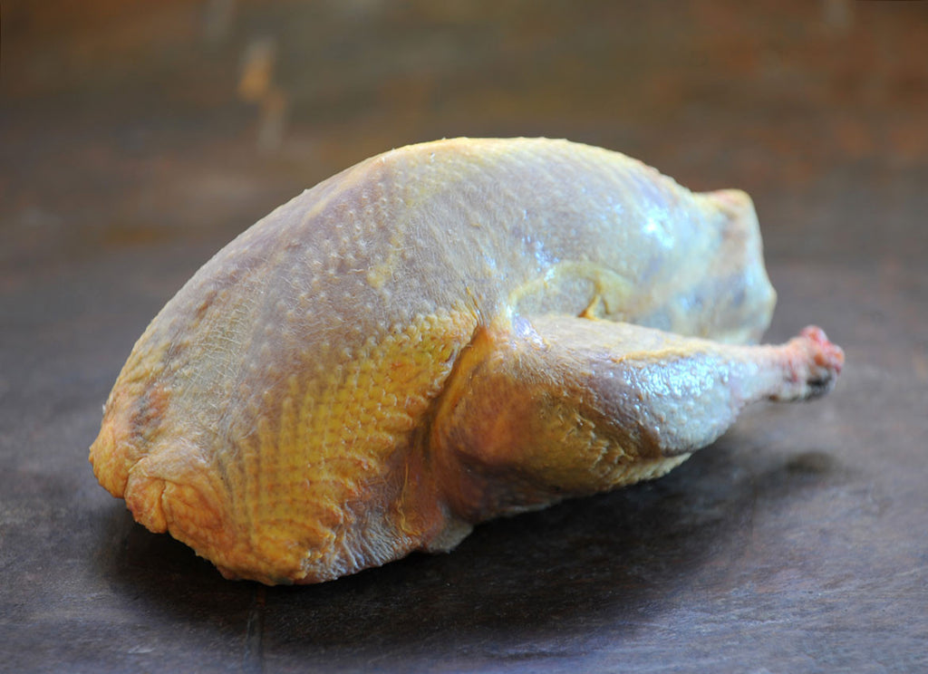 Pheasant
