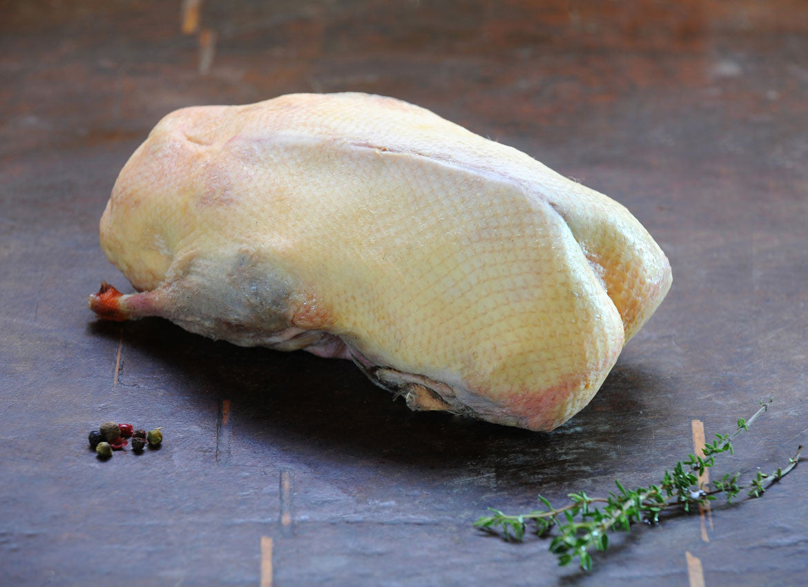 Buy Mallard online | Wild Meat Company
