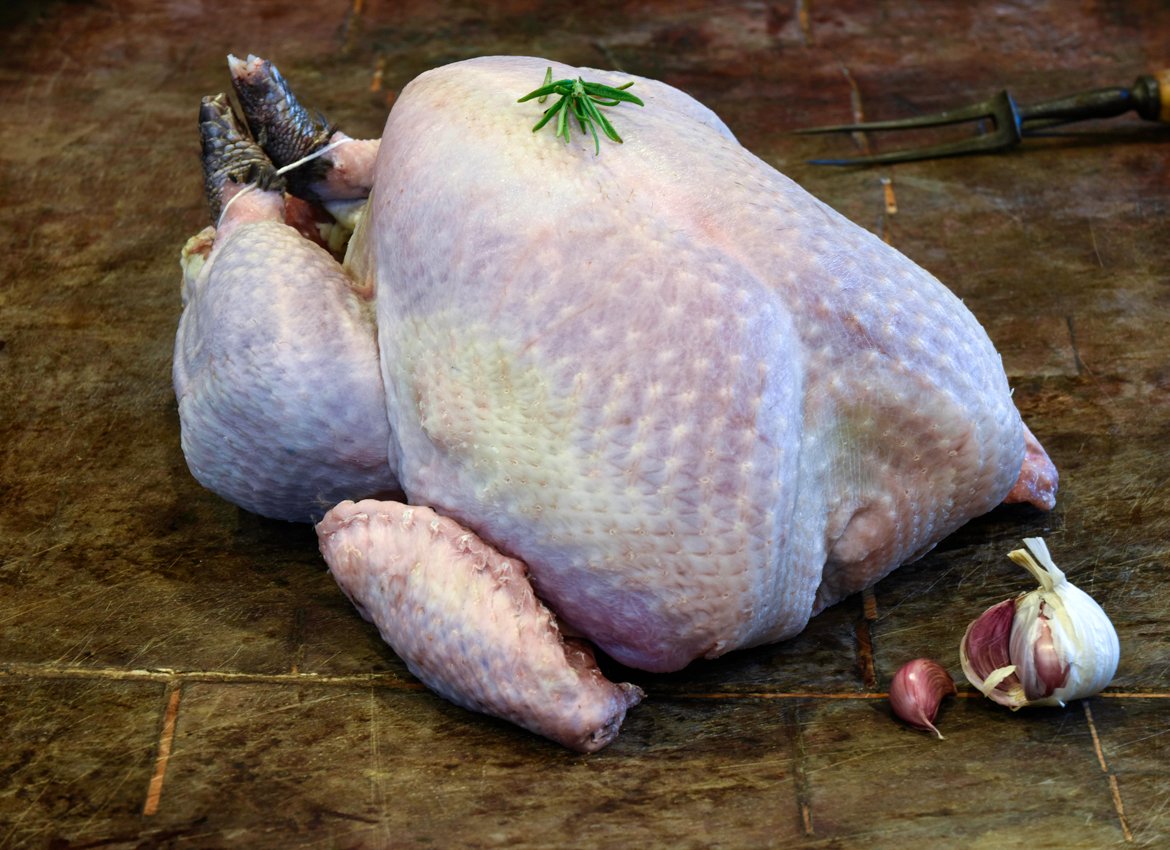 Buy Free Range Bronze Turkey online Wild Meat Company