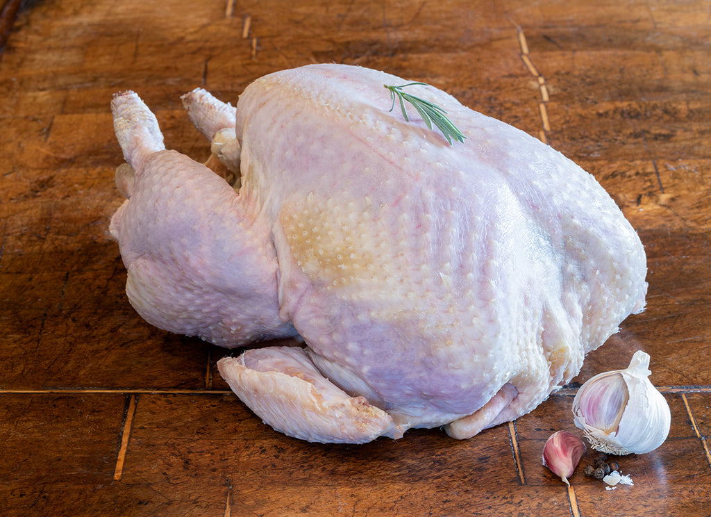 FREE RANGE WHITE TURKEY