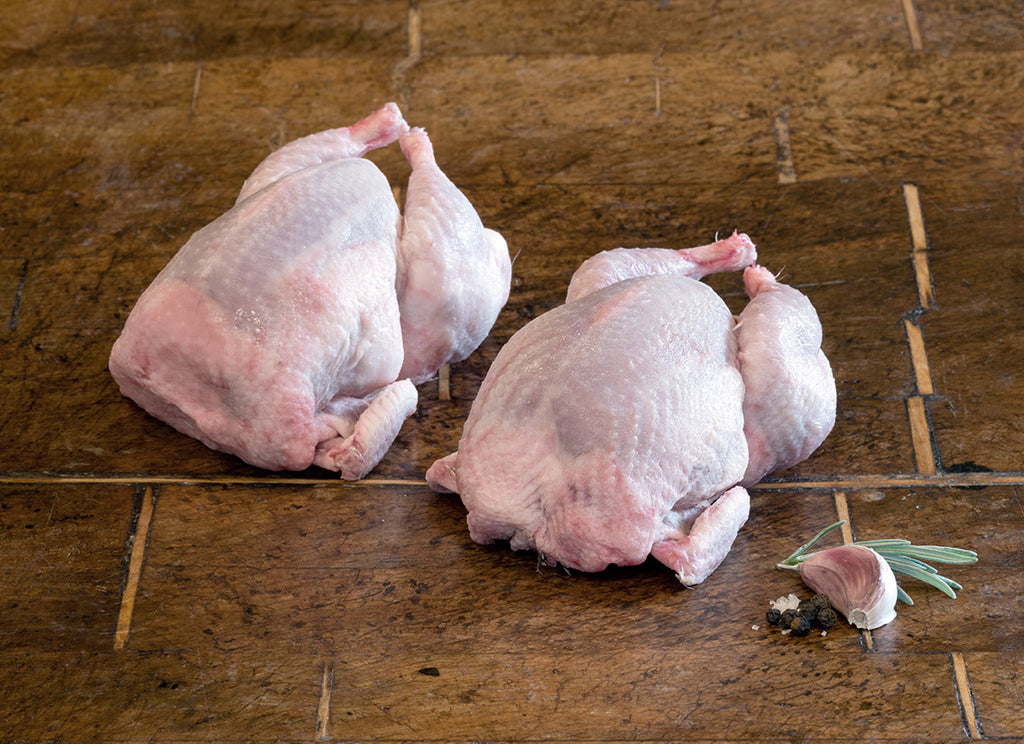 English quail